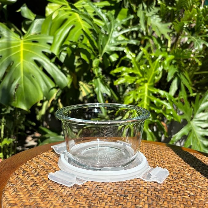 H.JSS WDJS2Cup Glass Soup Container - Image 7