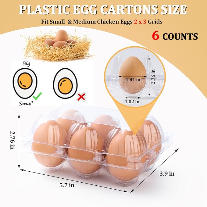 200PCS Clear Plastic Egg Cartons 6 Count, Half Dozen Egg Cartons Cheap Bulk - Image 2
