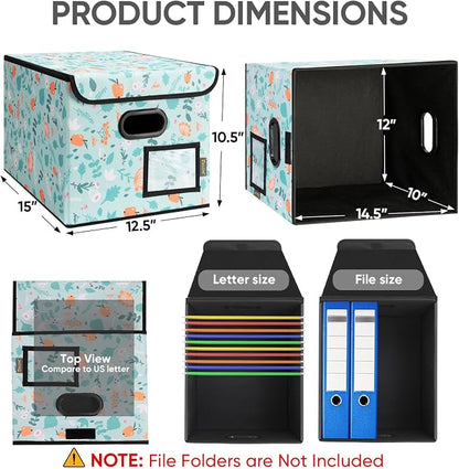 BALEINE File Organizer Box - Image 2