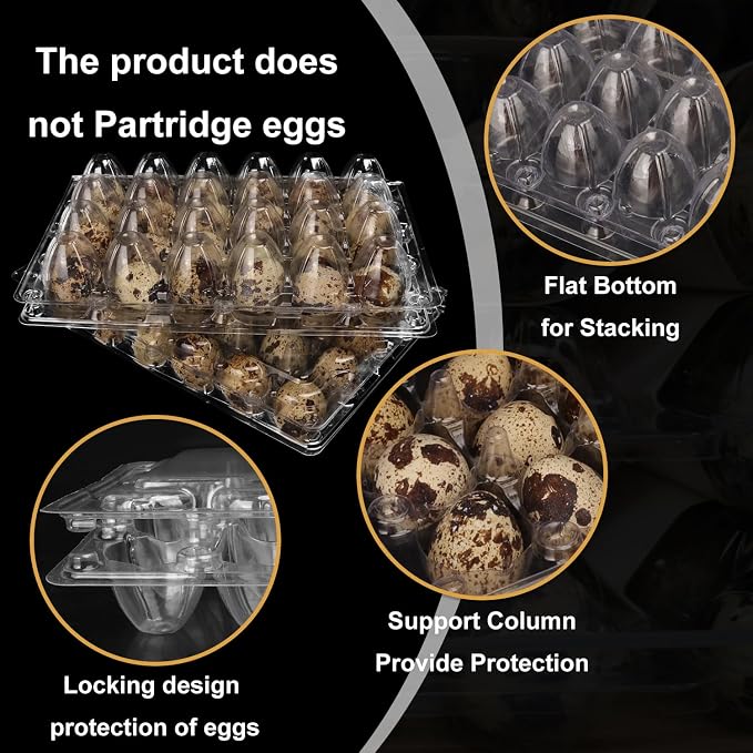 120 Pack Quail Egg Cartons - Image 3