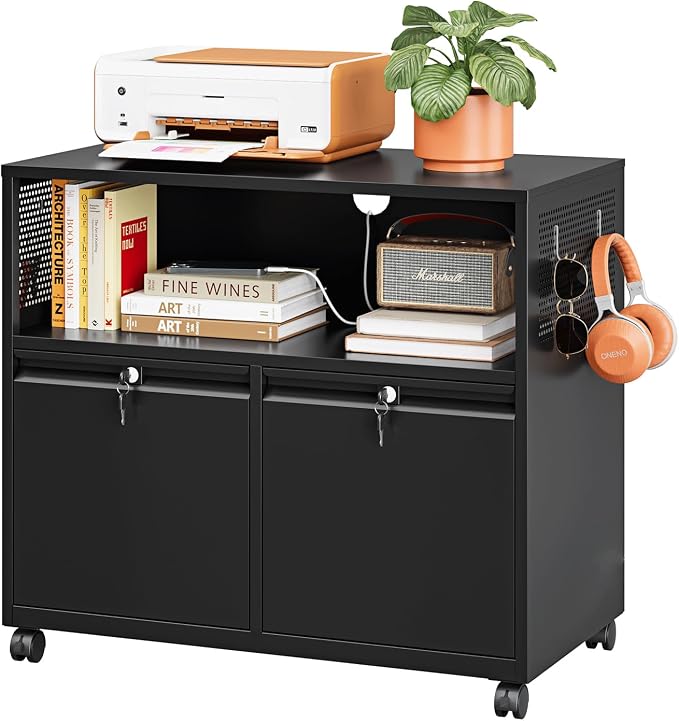 Metal File Cabinet, 2 Drawer Filing Cabinet by LISSIMO