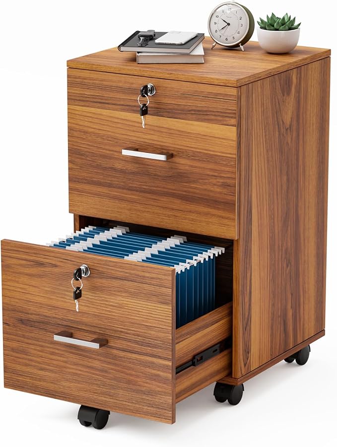 VINGLI 2-Drawer Rolling File Cabinet by VINGLI