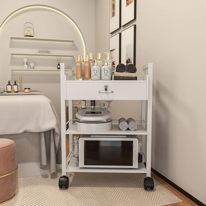 Paddie Salon Trolley Cart, Wooden Mobile Utility Cabinet Lab Cart - Image 2