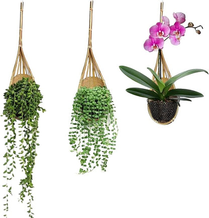 Hanging Orchids Pot: 4 Inch Handmade Bamboo Wall Plant Planter - Image 9