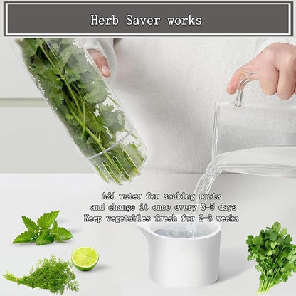 Herb Saver, Herb Keeper for Refrigerator, Cilantro Container for Fridge - Image 4