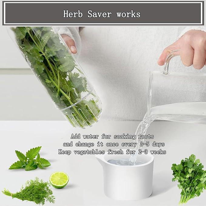 Herb Saver for Refrigerator, Cilantro Container for Fridge, Fresh Herbs Lettuce - Image 4