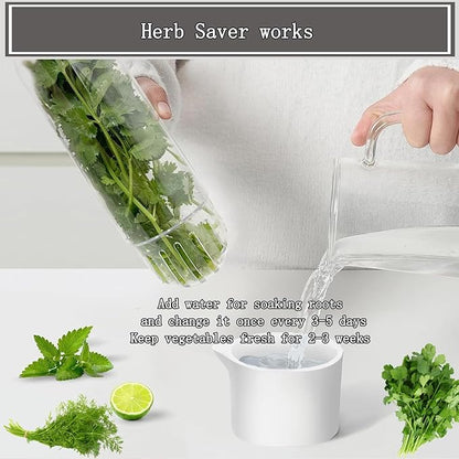 Herb Saver for Refrigerator, Cilantro Container for Fridge, Fresh Herbs Lettuce - Image 4