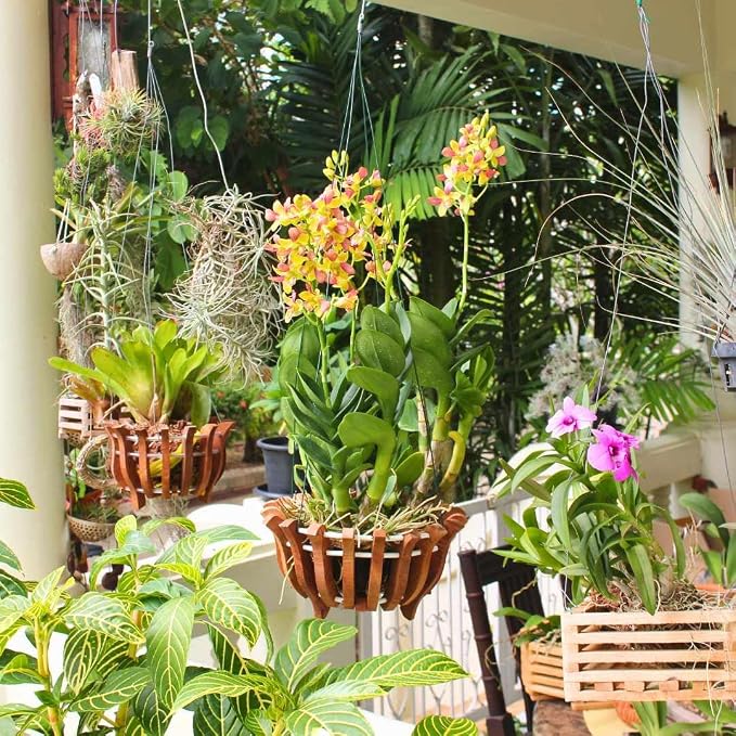 Set of 12 Hanging Wires for Orchid Baskets and Hanging Planters, 31 Inches Long - Image 7
