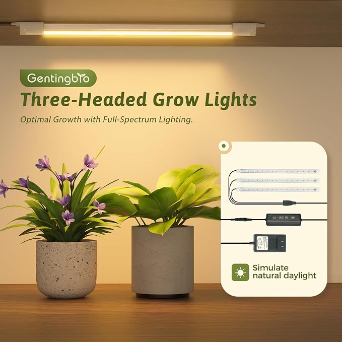 GENTINGBRO Plant Stand Indoor - Image 2