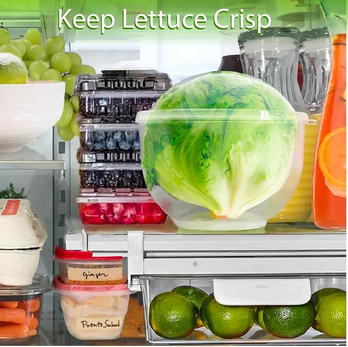 Trenton Gifts Lettuce And Vegatable Storage Keeper | 7" X 8" - Image 5