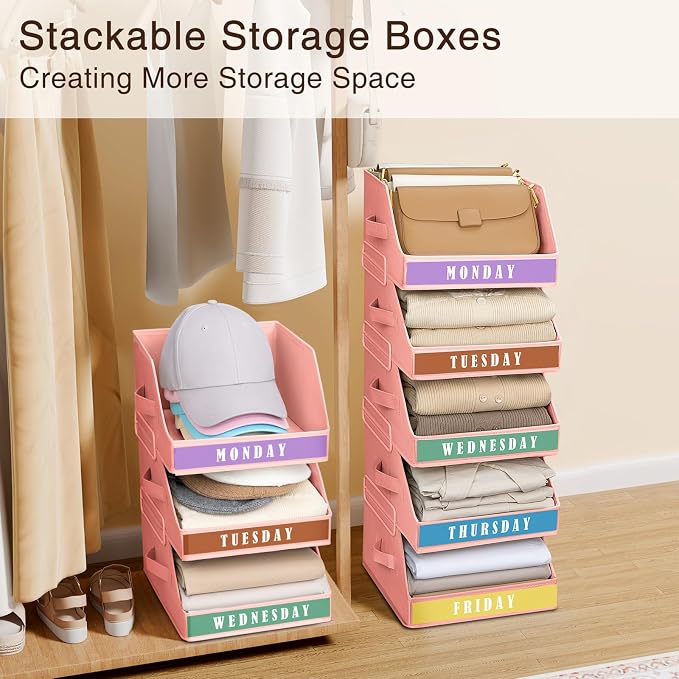 Closet Organizers and Storage - Image 5