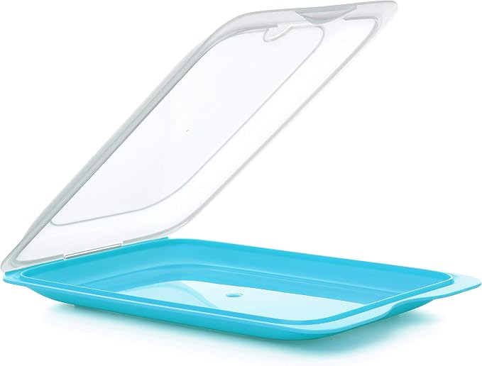 TATAY Cold Meat Container for Fridge | 1 Unit Standard | Fridge Storage | by TATAY