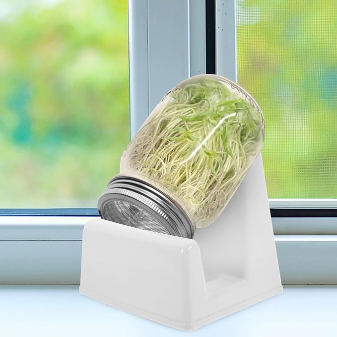 2pcs White Pp Sprouting Stand for Jars and Sprouts - Image 8