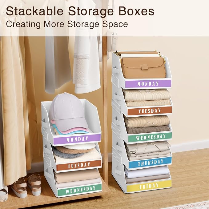 Closet Organizers and Storage - Image 5