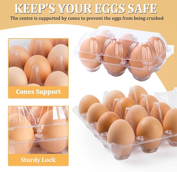 200PCS Clear Plastic Egg Cartons 6 Count, Half Dozen Egg Cartons Cheap Bulk - Image 4