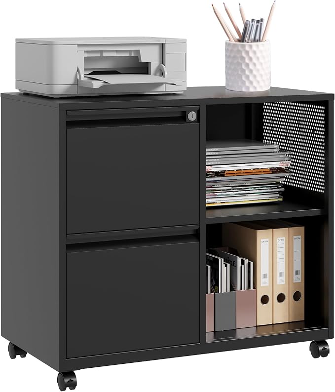 SISESOL 2 Drawer File Cabinet by SISESOL