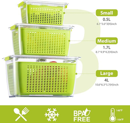 LUXEAR Fresh Container - Image 4