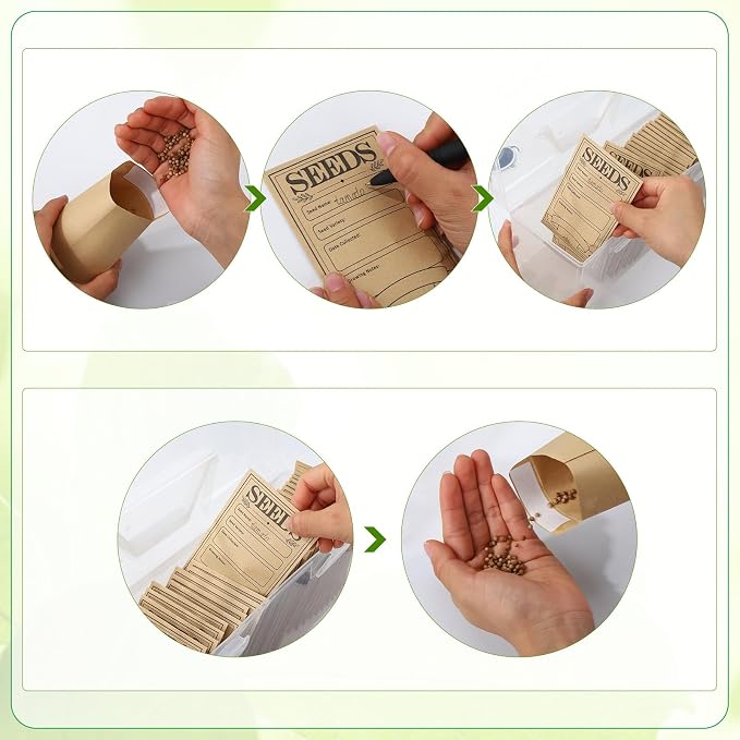 Plastic Clear Seed Storage Organizer Box - Image 6