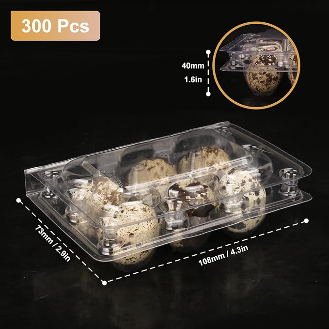300 Pack Quail Egg Cartons, Holds up to 6 Quail Eggs Securely - Image 2