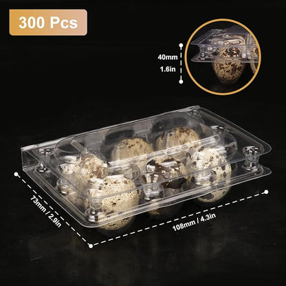 300 Pack Quail Egg Cartons, Holds up to 6 Quail Eggs Securely - Image 2