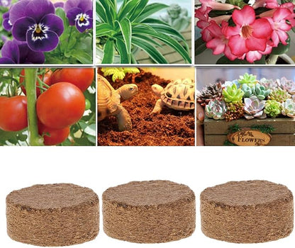 Coconut Fiber Coir Pellet Nutrient Soil Lightweight Plant Compressed Base - Image 6