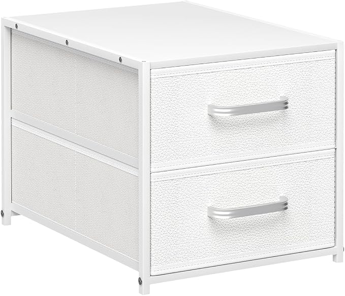 Homsorout 2 Drawers for Closet by Homsorout