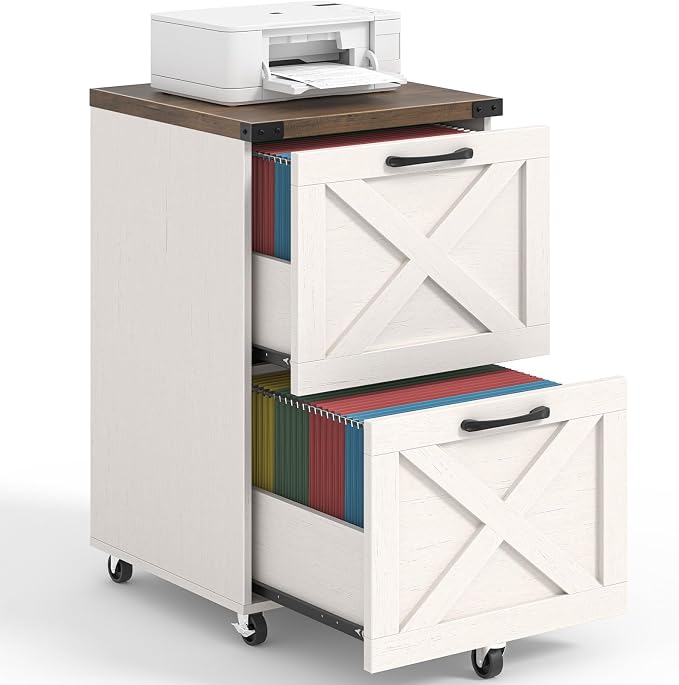 Halitaa Farmhouse 2 Drawer Small File Cabinet by Halitaa