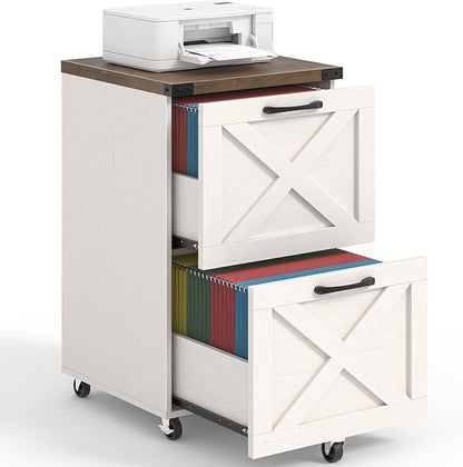 Halitaa Farmhouse 2 Drawer Small File Cabinet by Halitaa