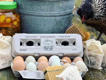 Egg Cartons- Adorable Printed Design - Image 7