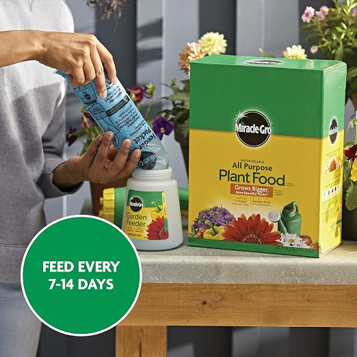 Miracle-Gro Water Soluble All Purpose Plant Food, 10 lb. | Fertilizer - Image 10