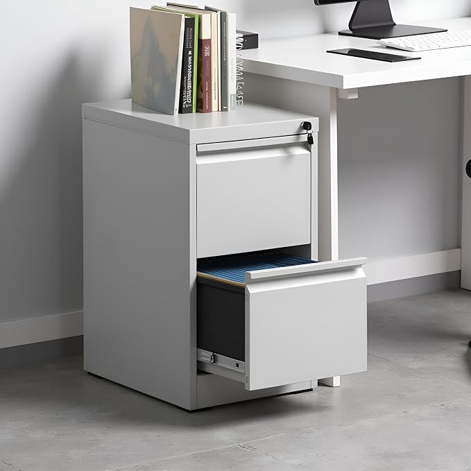 2 Drawer File Cabinet with Lock, Vertical Metal Filing Cabinet Under Desk by EKJOfficials