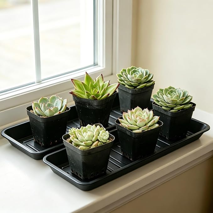 Plant Saucer Tray 6.5 x 13 Inch, Heavy Sturdy Long Narrow Plastic Plant - Image 5