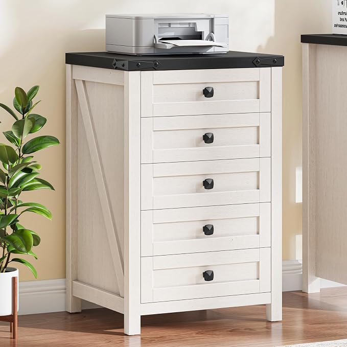 Halitaa 5 Drawer Small File Cabinet, Farmhouse Vertical Filing Cabinet | Under by Halitaa