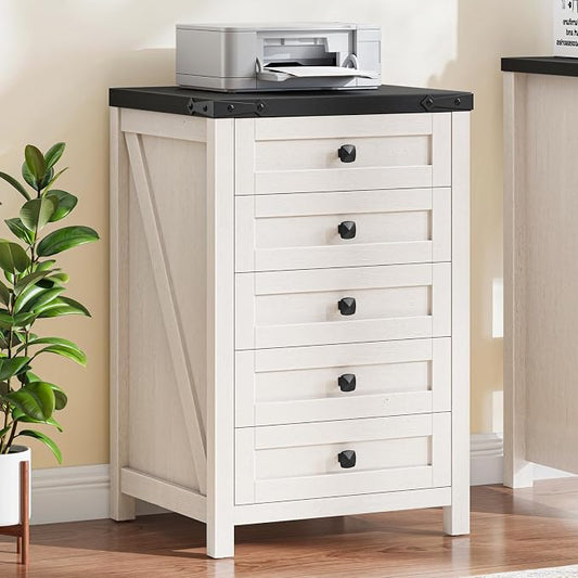 Halitaa 5 Drawer Small File Cabinet, Farmhouse Vertical Filing Cabinet | Under by Halitaa