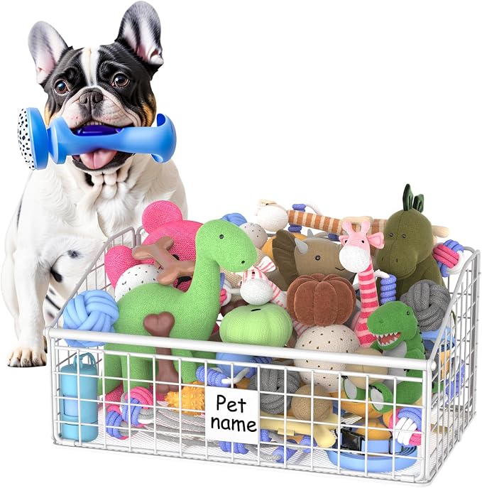 Kaiferty Indestructible Dog Toy basket, Medium Toy Box by Kaiferty