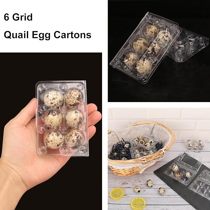 300 Pack Quail Egg Cartons, Holds up to 6 Quail Eggs Securely - Image 4