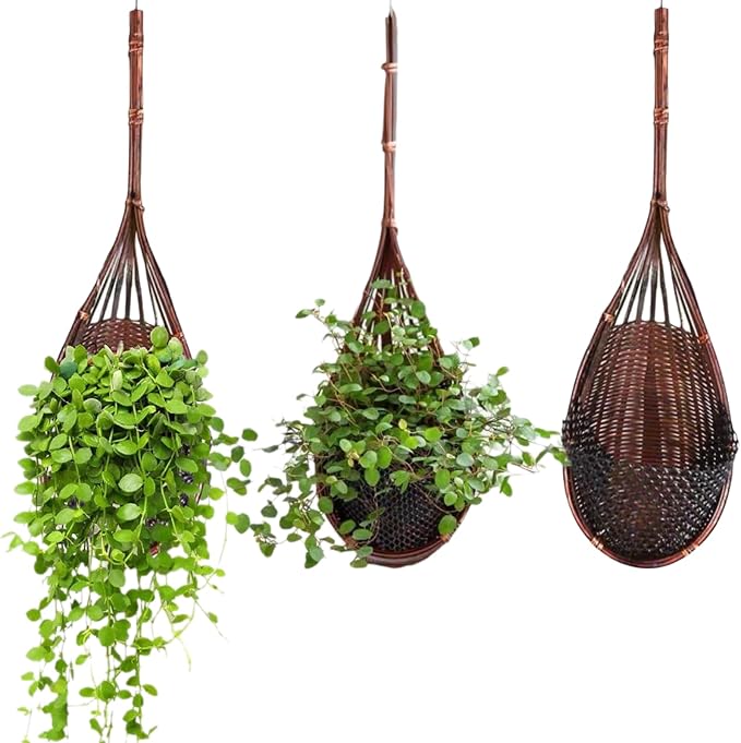 3 Pcs Hanging Orchid Planter: 4 Inch Handmade Bamboo Wall Plant Pot - Image 8