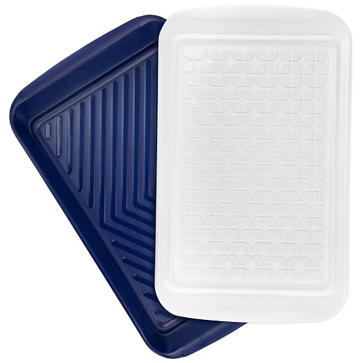 Tovolo Steak Marinating Container Large Grill Marinade and Prep Tray Set by Tovolo