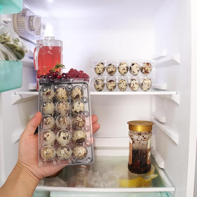 200 Pack Quail Egg Cartons, Holds up to 15 Quail Eggs Securely - Image 6