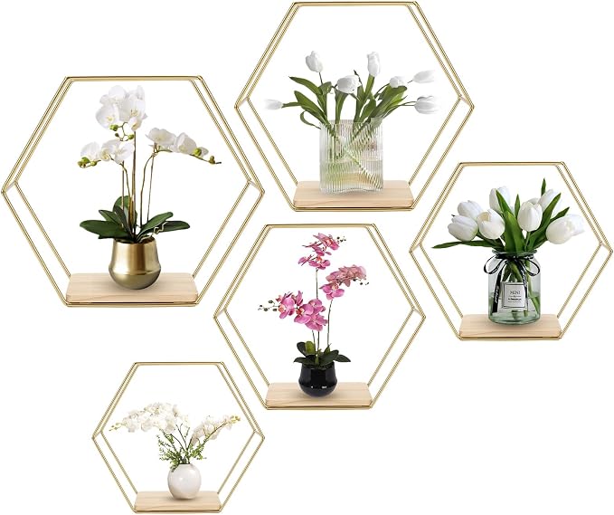 Wall Mounted Hexagonal Floating Shelves Set of 5 in Different Sizes, Modern by F+FINEC