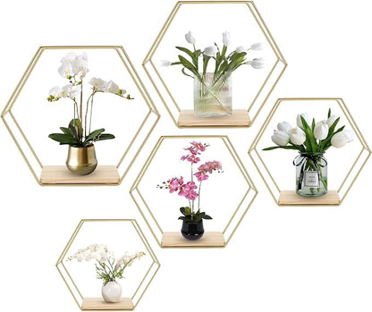 Wall Mounted Hexagonal Floating Shelves Set of 5 in Different Sizes, Modern by F+FINEC