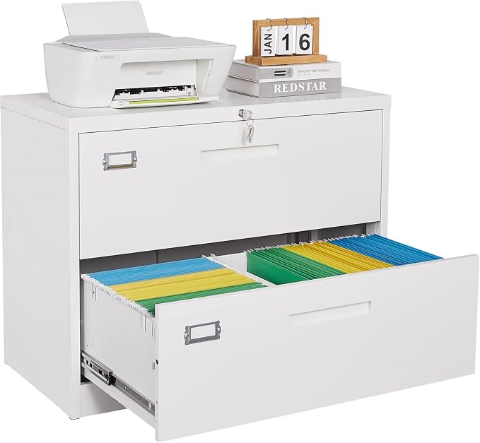 2 Drawer Lateral File Cabinet by SISESOL