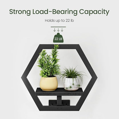 Floating Shelves Set of 2, Wall Planters - Image 6