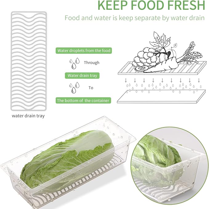 SILIVO Produce Saver Containers - Image 2