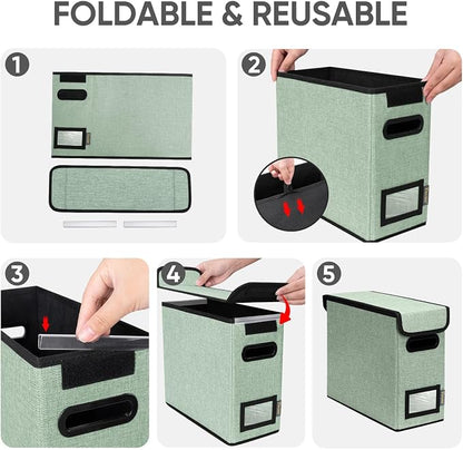 BALEINE File Organizer Box - Image 8