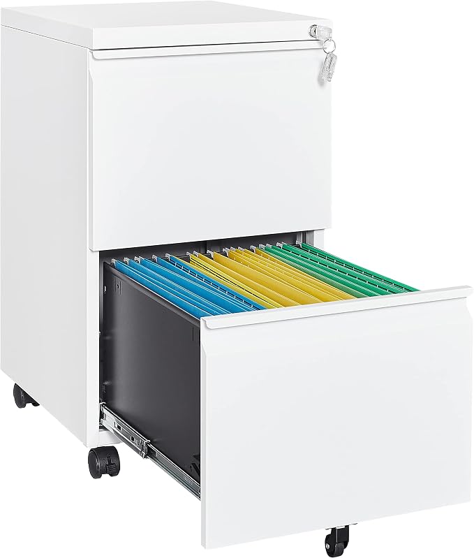 2 Drawer Vertical File Cabinet by Fesbos