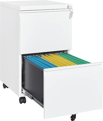 2 Drawer Vertical File Cabinet by Fesbos