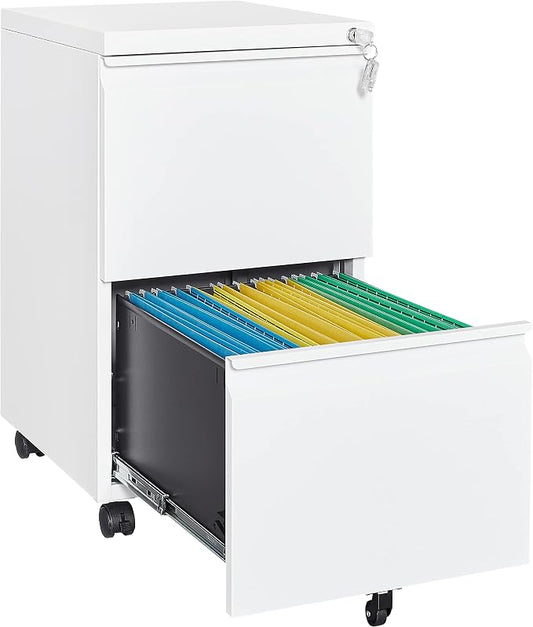 2 Drawer Vertical File Cabinet by Fesbos