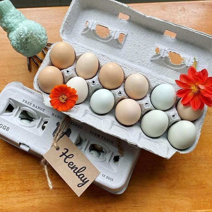 250 Egg Cartons- Bulk Value Bundle- Adorable Printed Design - Image 6