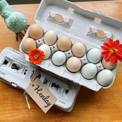 250 Egg Cartons- Bulk Value Bundle- Adorable Printed Design - Image 6